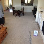 Starting to remove the old, worn, contractor-grade carpeting.