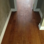 New Engineered Wood Flooring - Forest Accents’ Timeless Textures line in Maple Tawny.