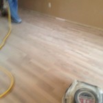 Rough then Fine Sanding and Scraping to Refinish a cupped Wood Floor.