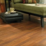 Traditional Clicette Hawaiian Persimmon laminate flooring by Columbia