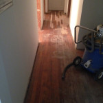 Old, solid Red Oak wood floors prior to refinishing