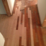 Old, solid Red Oak wood floors prior to refinishing