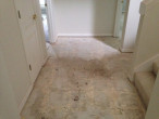 Bare front hall subfloor following tile removal to allow installation of wood flooring