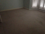 View in one of the bedrooms, prior to removing the carpet and installing wire brushed, engineered White Oak flooring