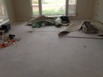 Carpet and padding removed - bare subfloor ready for clean-up and wood flooring installation