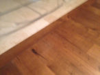 New European White Oak plank flooring