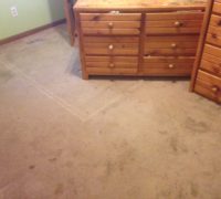 Existing carpeting, to be removed for wood flooring installation