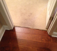 Old carpeting on the bedroom floor, to be removed