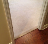 Old carpeting on the bedroom floor, to be removed