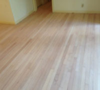 Old clear grade solid Red Oak flooring after sanding