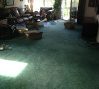 Old worn carpeting to be removed and replaced with wood flooring