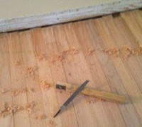 "Pulling ends" - hand scraping ends of old red oak wood flooring planks