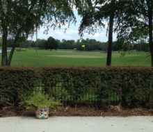 View of Glen Kernan Country Club Golf Course from client's home.