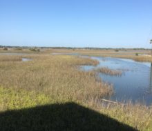 View of marsh outside Saltwater Cowboys BBQ & Seafood restaurant - St. Augustine, Florida.