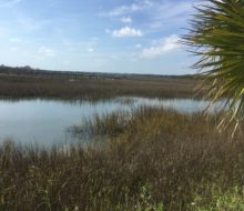 View of marsh outside Saltwater Cowboys BBQ & Seafood restaurant - St. Augustine, Florida.