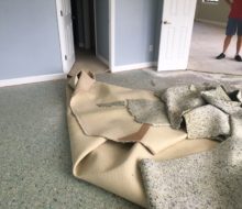 Condo carpeting removal