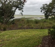 View of the marsh.