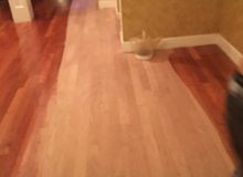 Applying finish to American Cherry flooring