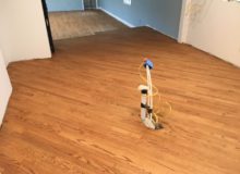 Stained and sealed red oak flooring