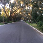 One of the prettiest streets in St. Augustine, Florida.