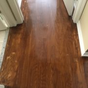 stain over rotary peeled engineered wood flooring