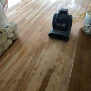 Popping grain of sanded Red Oak flooring