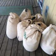 Seven bags of sawdust, from sanding white oak flooring