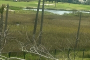 The Marsh near the Dan's Floor Store project home.