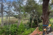 Peek out back of Fernandina Beach home.