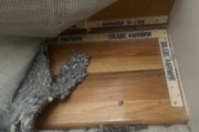 Old Red Oak flooring and staircases.