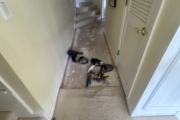 Preparing sheet plywood subfloor upstairs.