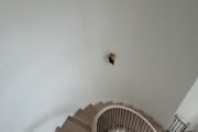 Match stained staircase and LPV floor.