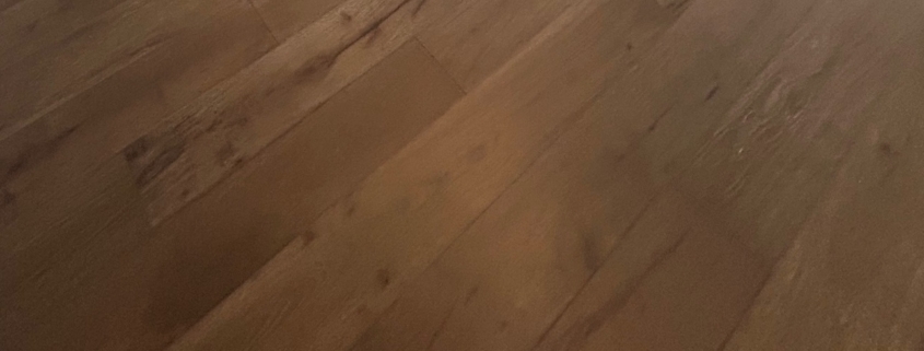 Castlewood Oak featured image.